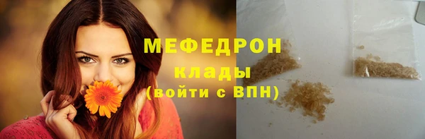 spice Богородицк